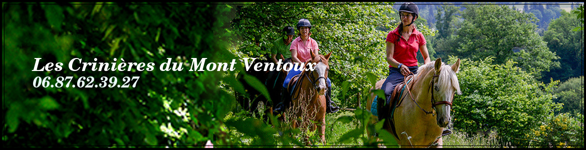 Les Crinières du Mont Ventoux